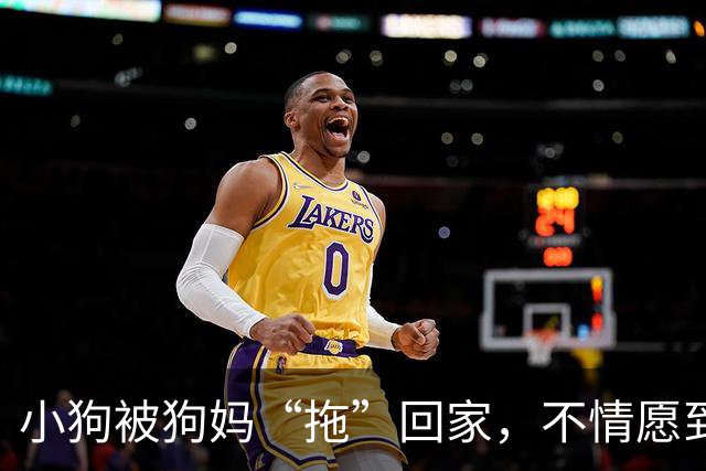 小狗被狗妈“拖”回家，不情愿到连爪子都在控诉：我还要玩！