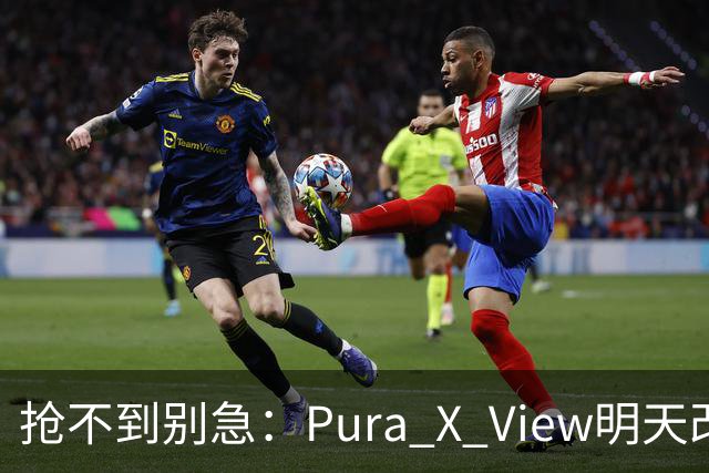 抢不到别急:Pura X View明天改“排队”,不用再卡点