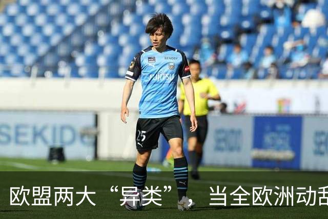 欧盟两大“异类”,当全欧洲动乱时,靠中国走上“捷径”躲过一劫