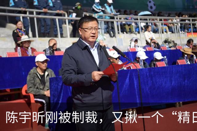陈宇昕刚被制裁,又揪一个“精日”人员:竟然还是本土企业老板